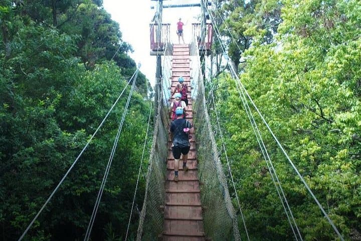 Kapalua 6-Line Dual Zipline & Suspension Bridge Adventure, Maui photo 4