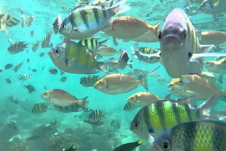 Half-Day Koh Phangan Speedboat Cruise from Koh Samui photo 4