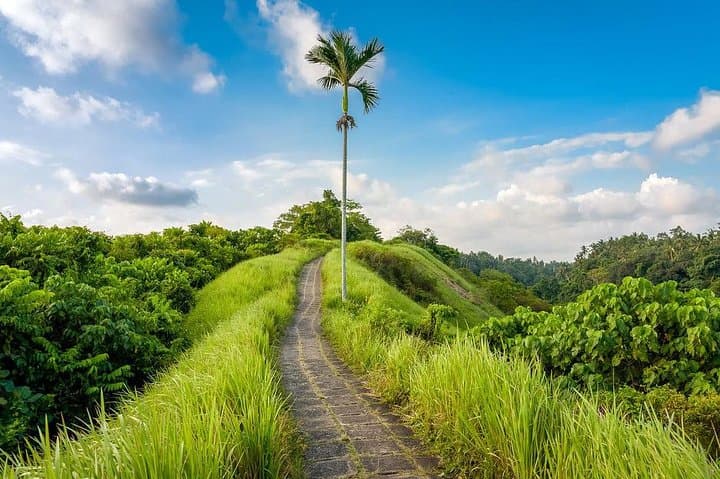 Ubud Instagram Spots Tour — Best Photo Stops in One Day photo 5
