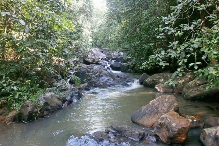 35km Mountain Bike Ride from Galle — Tea Plantations & Hiyare River Dip photo 3