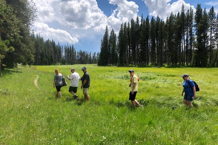 Explore Yellowstone’s Hidden Gems: A Private Family-Friendly Adventure with Scenic Lunch photo 2