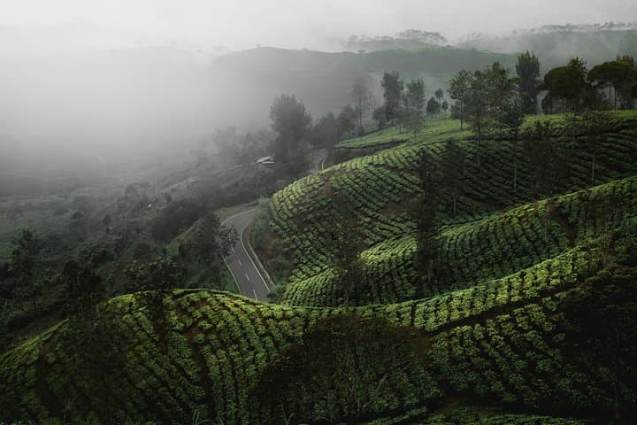 Splendid Ceylon: A Seven-Day Circuit Through Sri Lanka’s Highlands, Wildlife and Coast photo 3