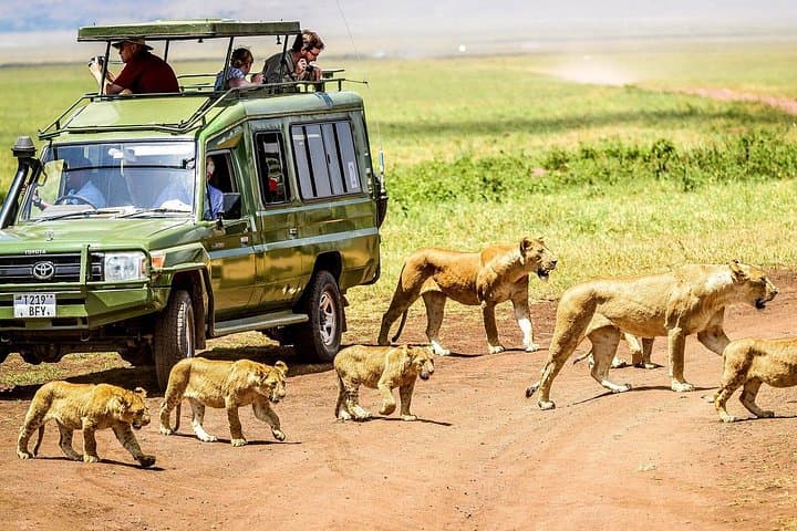 4-Day Camping Safari in Tarangire, Ngorongoro, Lake Manyara & Olduvai Gorge photo 4