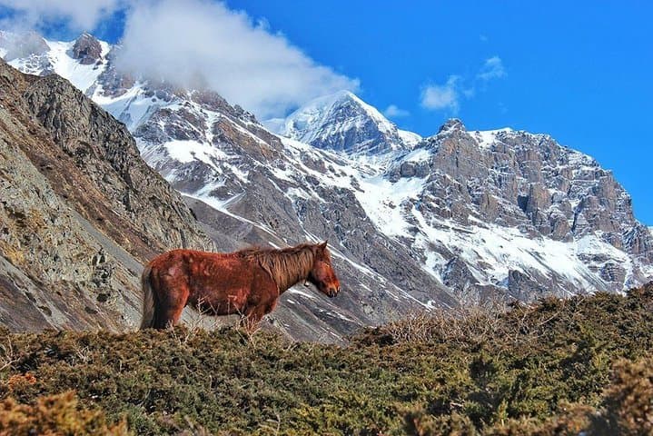 Annapurna Circuit Trek: 18-Day Heritage Route over Thorong La