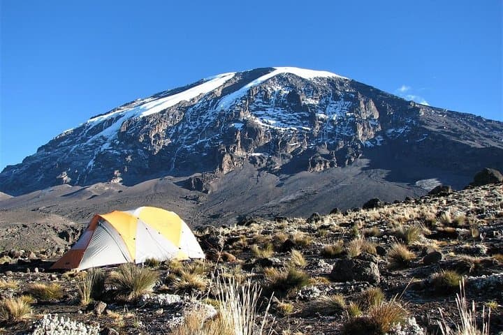 Ascending Kilimanjaro Via the Lemosho Route: An 8-Day Odyssey to Africa’s Roof photo 2