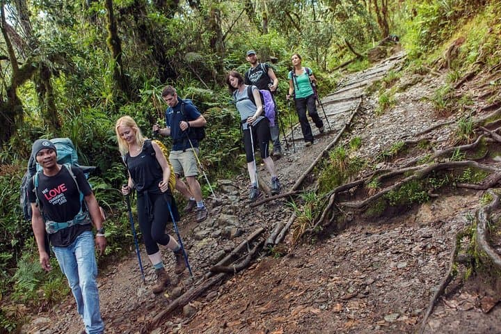 Mount Kilimanjaro 8-Day Lemosho Route: Guided 8-Day Trek to Uhuru Peak photo 2