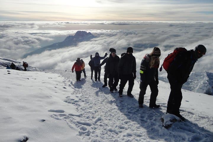 Ascending Kilimanjaro Via the Lemosho Route: An 8-Day Odyssey to Africa’s Roof photo 6