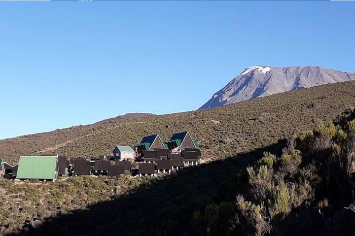 Kilimanjaro Marangu Route — 6-Day Guided Trek to Uhuru Peak photo 5