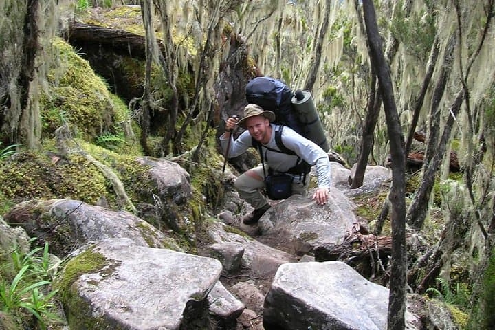 Umbwe Route Kilimanjaro: 6-Day Intensive Trek to Uhuru Peak photo 4