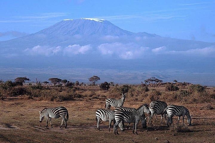 Amboseli National Park Day Tour from Nairobi — Game Drives, Elephants & Maasai Visit photo 3