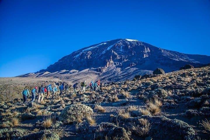 6-Day Rongai Route Trek to Mount Kilimanjaro (Summit via Northeast) photo 5