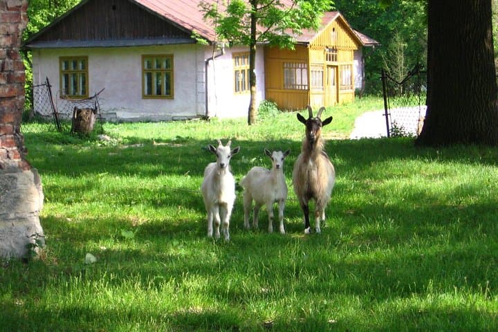 Two-Day Polish Countryside Escape: Farms, Workshops & UNESCO Church photo 5