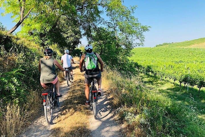 Bike Through Rolling Tuscan Hills to a Winery Tasting Near Montepulciano photo 1