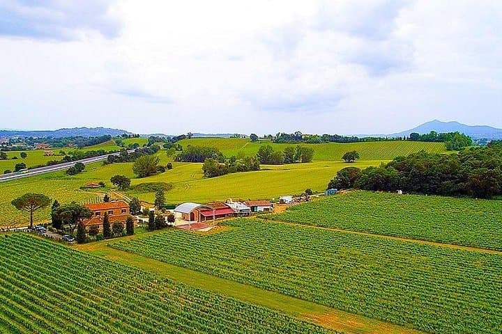 Bike Through Rolling Tuscan Hills to a Winery Tasting Near Montepulciano photo 2