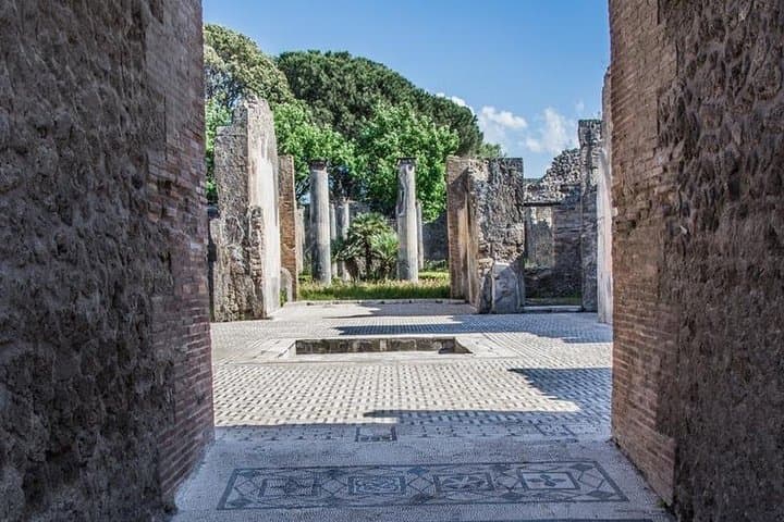 Walk Pompeii with an Archaeologist: Private All-Inclusive Tour from Sorrento photo 1