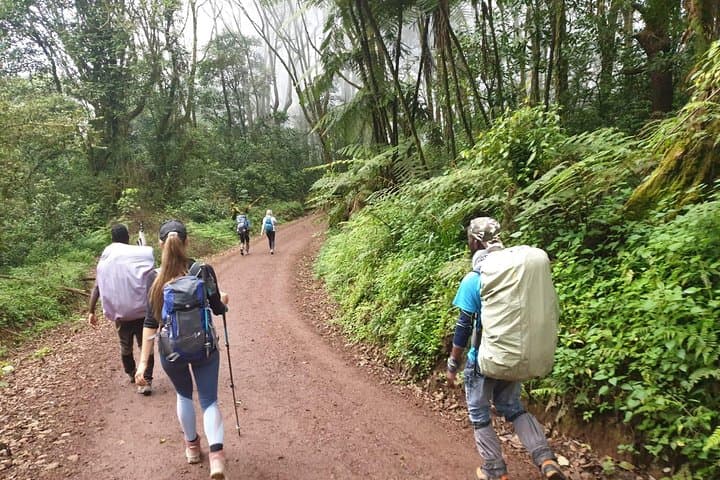 Kilimanjaro 5-Day Marangu Route: Summit Uhuru Peak on the Classic Trek photo 5
