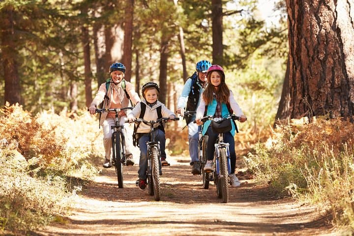 Cycling the Ljubljana Marshes: Easy 3-4 Hour Guided Ride from Ljubljana