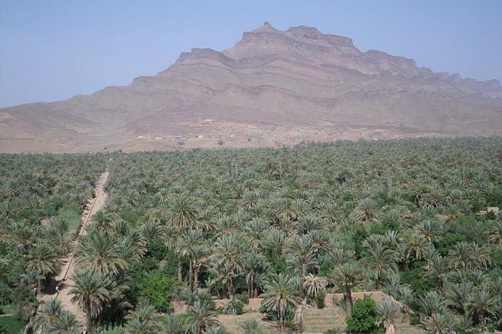 Marrakech to Merzouga: 3-Day Desert Tour to Erg Chebbi and Bivouac photo 4