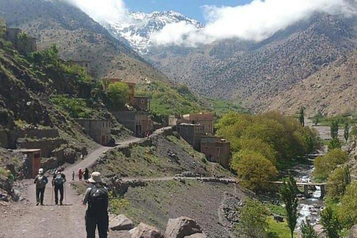 Ourika Valley Day Trip from Marrakech: Waterfalls, Berber Home Visit & Atlas Views