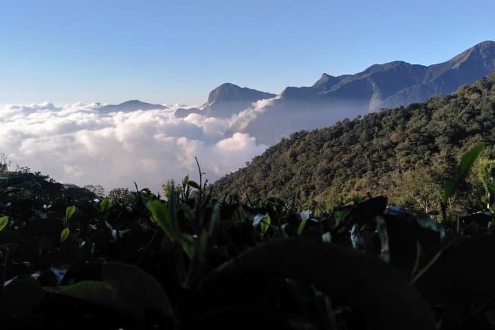 Sunrise at Top Station Munnar: Dawn Over the Western Ghats photo 3