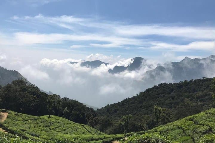 Sunrise at Top Station Munnar: Dawn Over the Western Ghats photo 4