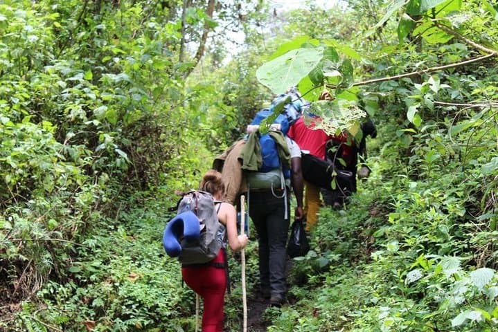 Summit Nyiragongo in 2 Days: Hike to Africa’s Active Lava Lake photo 4