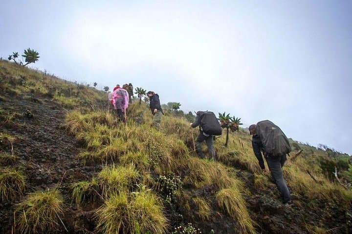Summit Nyiragongo in 2 Days: Hike to Africa’s Active Lava Lake photo 5
