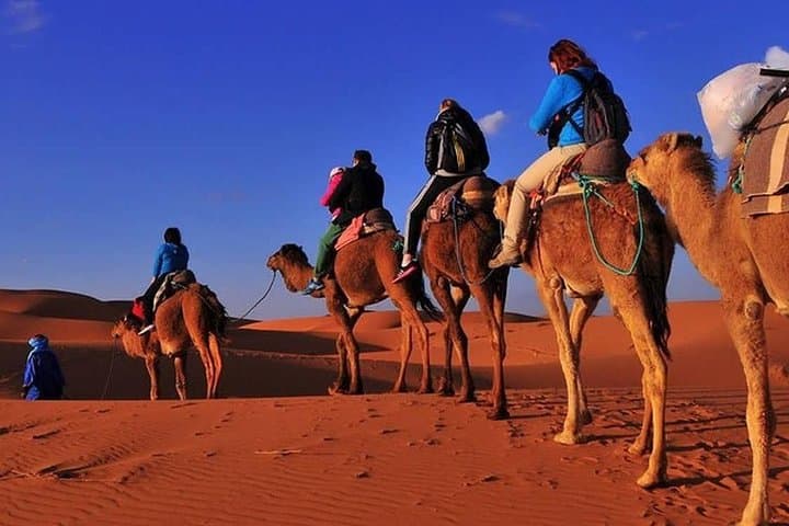 Camel Trek & Luxury Desert Camp: 2-Day Marrakech to Merzouga Erg Chebbi Adventure photo 3