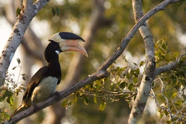 Wilpattu National Park Private Full-Day Safari from Colombo photo 5