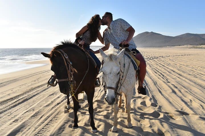 Sunset Horseback Ride and Private Beach Dinner in Cabo San Lucas photo 4