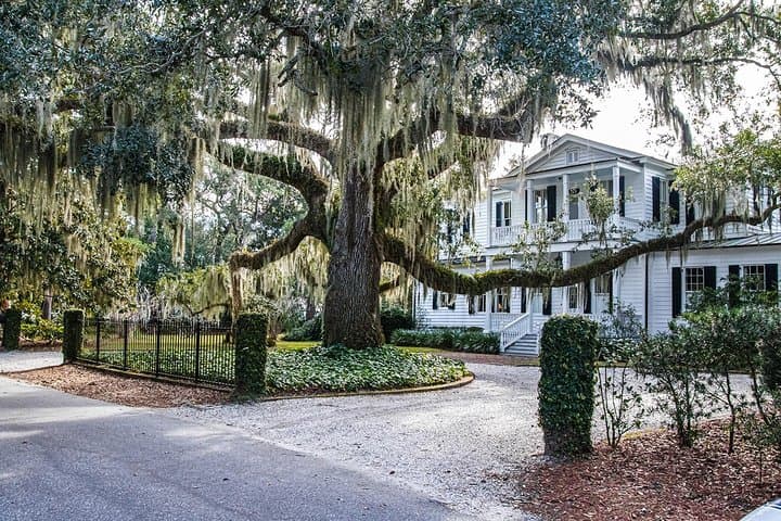 Beaufort History and Film Location Minibus Tour photo 4