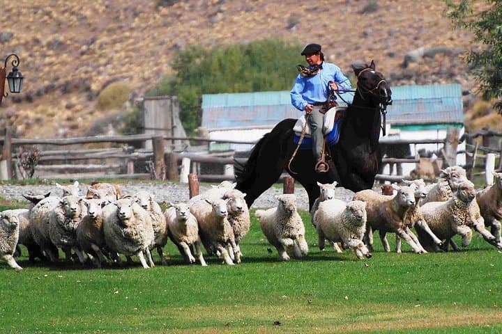 Evening Ranch Visit and Dinner at Estancia 25 de Mayo, El Calafate