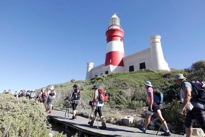 Cape Town Robben Island & Cape Peninsula Penguin Tour — V&A Waterfront to Cape Point photo 4