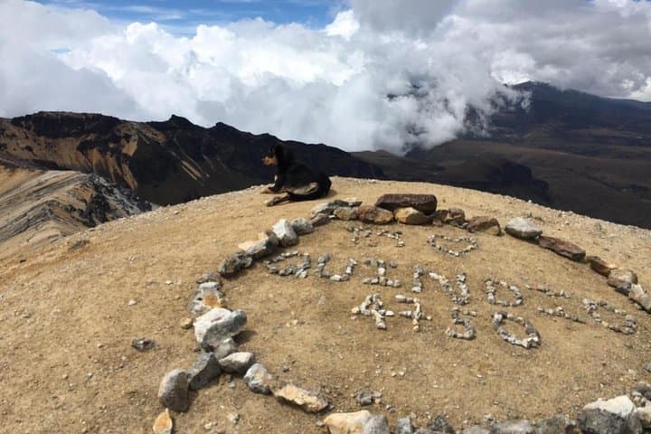 Trekking Paramillo del Quindío: 3-Day Ascent from Cocora Valley to 4,750m photo 5