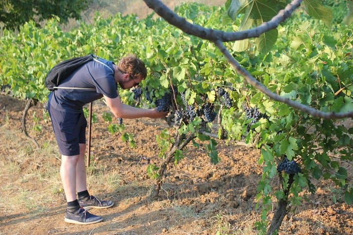 Berat 4x4 Off-Road and Malinat Vineyard Wine Tasting