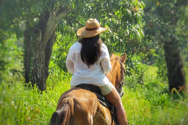 Horseback Riding in San Basilio de Palenque — Day Trip from Cartagena