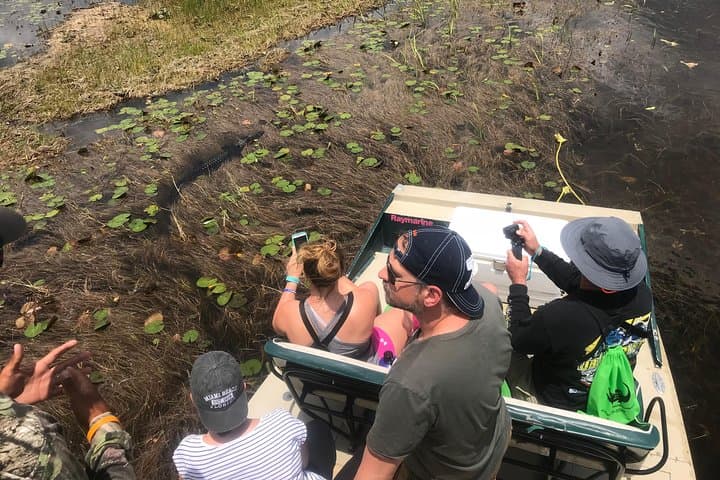 private-1-hour-airboat-tour-miami-everglades-what-to-expect photo 4