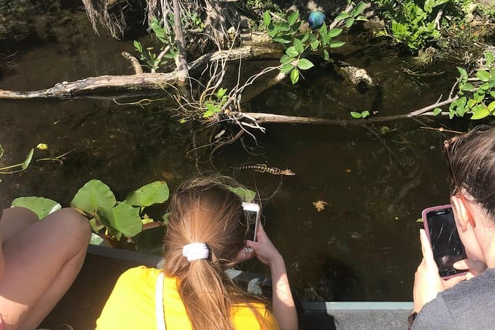 Private 1.5-Hour Everglades Airboat Tour — Miami Airboat Experience photo 2