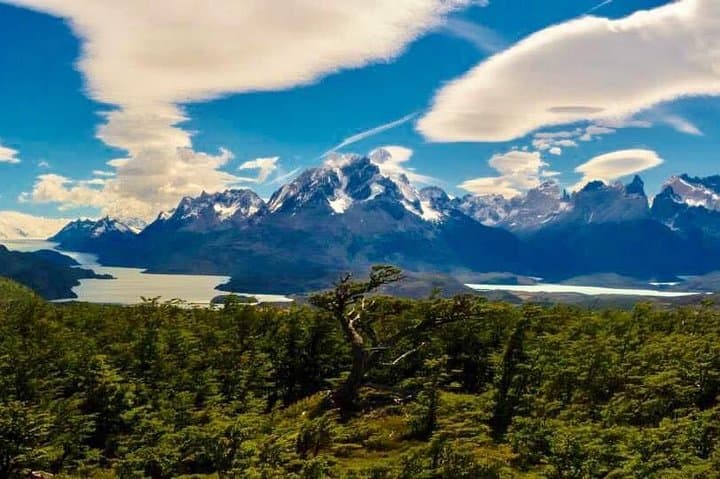 Half-Day Playa Gray Walk — Gray Lake & Glacier Viewpoint in Torres del Paine photo 4