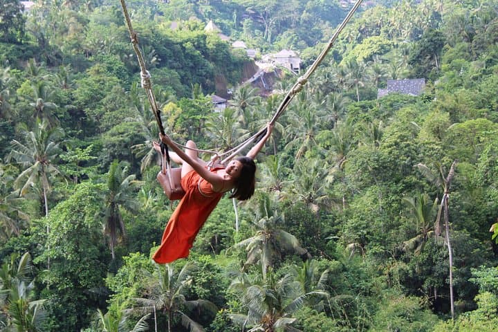 Ubud Full-Day Highlights: Monkey Forest, Giant Swing, Rice Terraces & Waterfall photo 6
