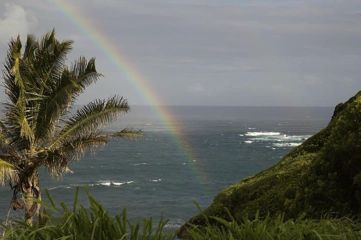 Maui Waterfall and Rainforest Adventure — Rainforest Drive and Waterfall Hikes from Kahului photo 3