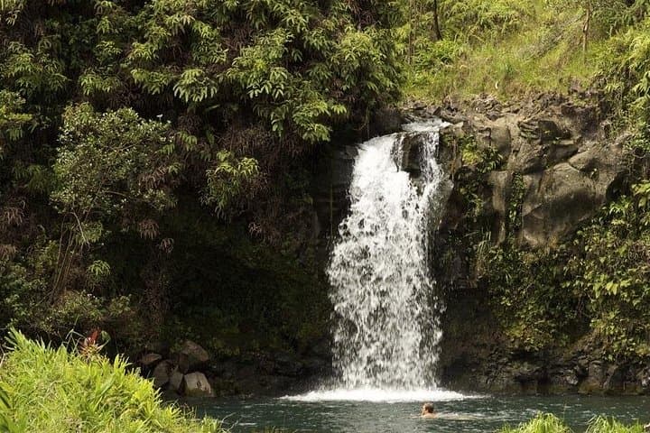 Maui Waterfall and Rainforest Adventure — Rainforest Drive and Waterfall Hikes from Kahului