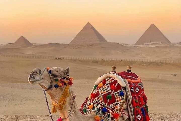5-Hour Camel or Horse Ride at the Giza Pyramids — Panoramic Desert Tour photo 5