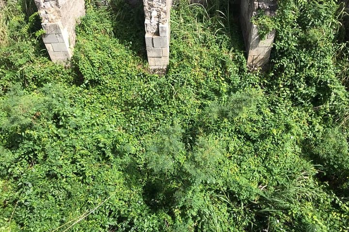 Hike Brimstone Hill Fortress: UNESCO Views & Colonial History in St Kitts photo 3