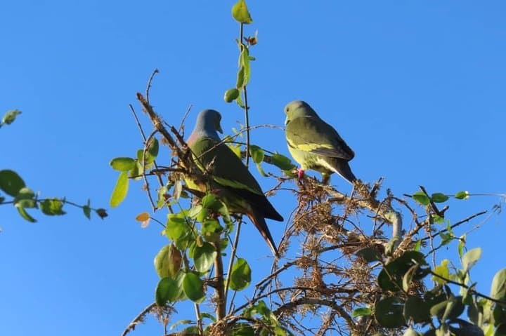Yala National Park Full-Day Private Safari from Colombo or Negombo photo 4