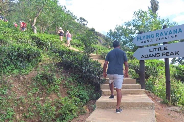 3-Day Sri Lanka Highlights: Kandy, Sigiriya, Nuwara Eliya, Ella & Udawalawe photo 4