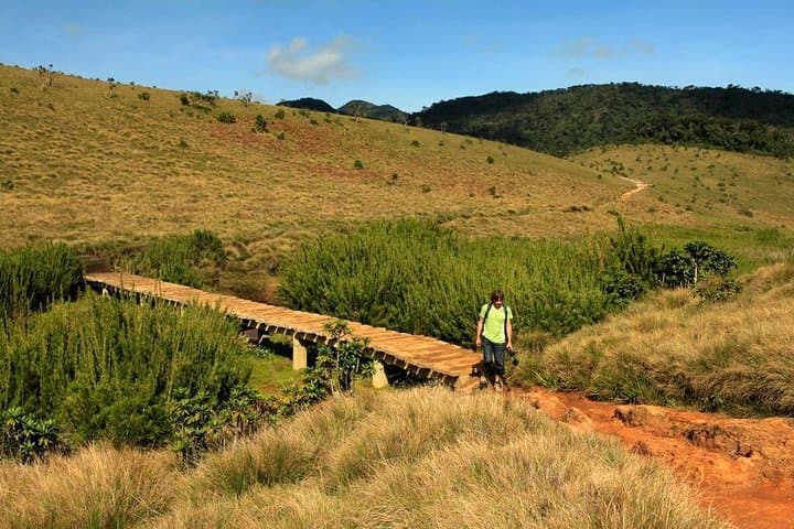 Horton Plains Nuwara Eliya Tour: World's End, Baker's Falls & Cloud-Forest Walk photo 6