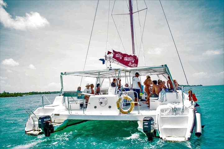 Catamaran Cruise to Ile aux Cerfs: Snorkel, GRSE Waterfall & BBQ
