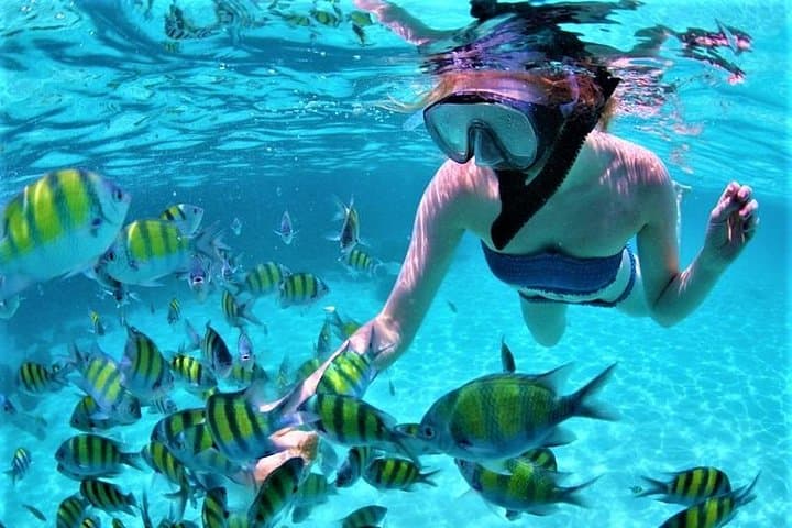 Catamaran Cruise to Ile aux Cerfs: Snorkel, GRSE Waterfall & BBQ photo 3