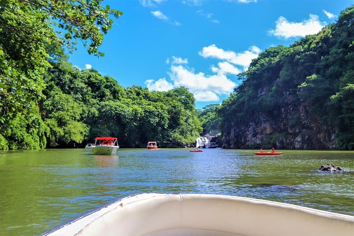 Speedboat to Ile aux Cerfs with GRSE Waterfall, BBQ Lunch & Open Bar photo 4